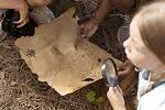 Earth Gifts