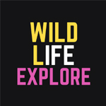 Wildlifeexplore