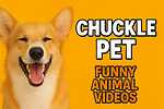 ChucklePet - Where Animals Bring The Laughter