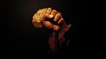 Africa Awakens