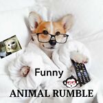 Funny Animal Rumble