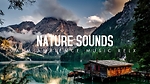 Nature Relaxation™ 4K/HD Ambient Films + Instrumental Music for Study, Stress Relief, & Better Mood - Playlist · Stunning 4K Underwater