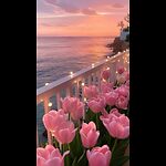 Echoes of Calm