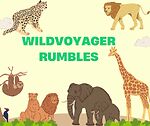 Embark on an Animal Adventure with WildVoyager