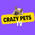 Crazy Pets TV