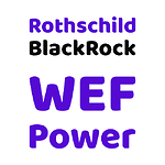 Rothschild BlackRock WEF Power
