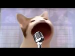 Catster Rumble