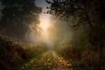Uncovering mysteries and defining the unknown