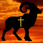 TheVigilantShepherd