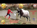 FunnyAnimals