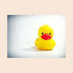 Talk to the Rubber Duck