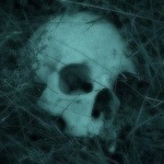 ༻☆sophs art☆༺