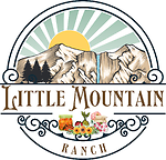 Little Mountain Ranch