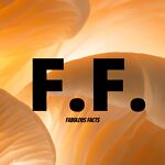 FabulousFacts