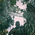 ecoclimax