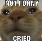FunnyReactions