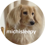 michisleepy information for Japnanese　