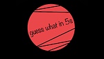 guesswhatin5s