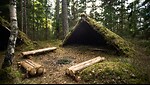 How to Survive in the Wild