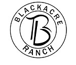 Blackacre Bison