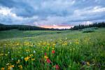 Lovers of nature and scenic scenery