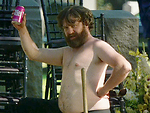 Hangover Movies