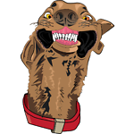 Funny animals