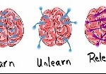 Learn Unlearn Relearn