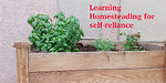 Desert Homestead Gardening