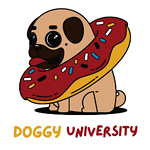 Doggy University