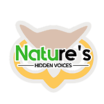 Nature’s Hidden Voices