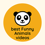 best Funny Animals videos