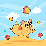 Funny Pet's Life