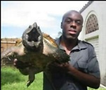 The Wildlife Guy