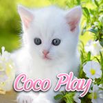 Coco Play