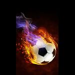 Cricket and football lovers