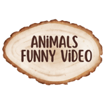 AnimalsFunnyVideo25