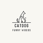 CATDOG FUNNY VIDEO