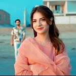 Pakistani Drama Diary