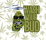 Cleaning Up The Cannabis Industry