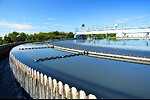 Heyward Florida Incorporated