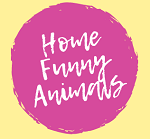 HomeFunnyAnimals