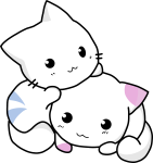 Watch this cute cat ^_^