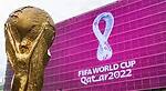 world cup qatar 2022