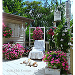 TheGardenGivers