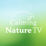 Daily Calm - Relaxing nature scenes