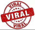 VIRAL VIDEOS