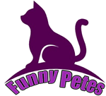 Funny petes