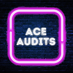 ACE audits