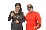 Diamond and Silk Clips